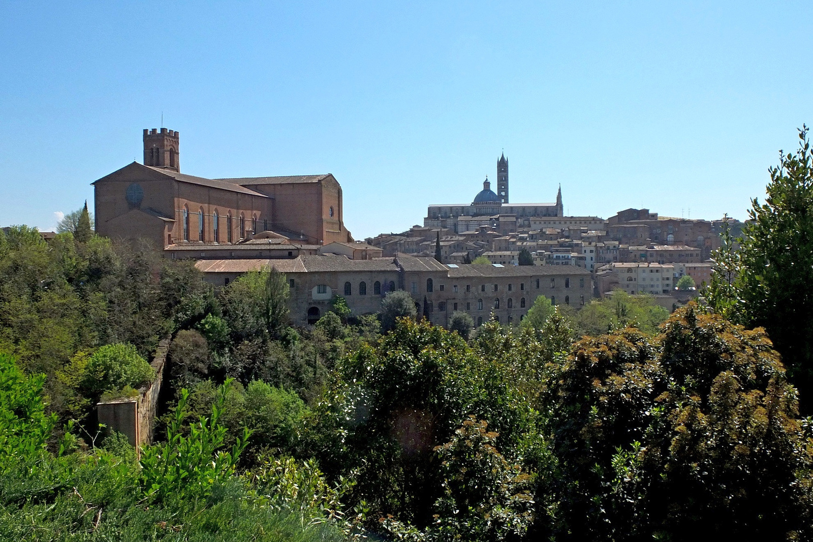 Siena