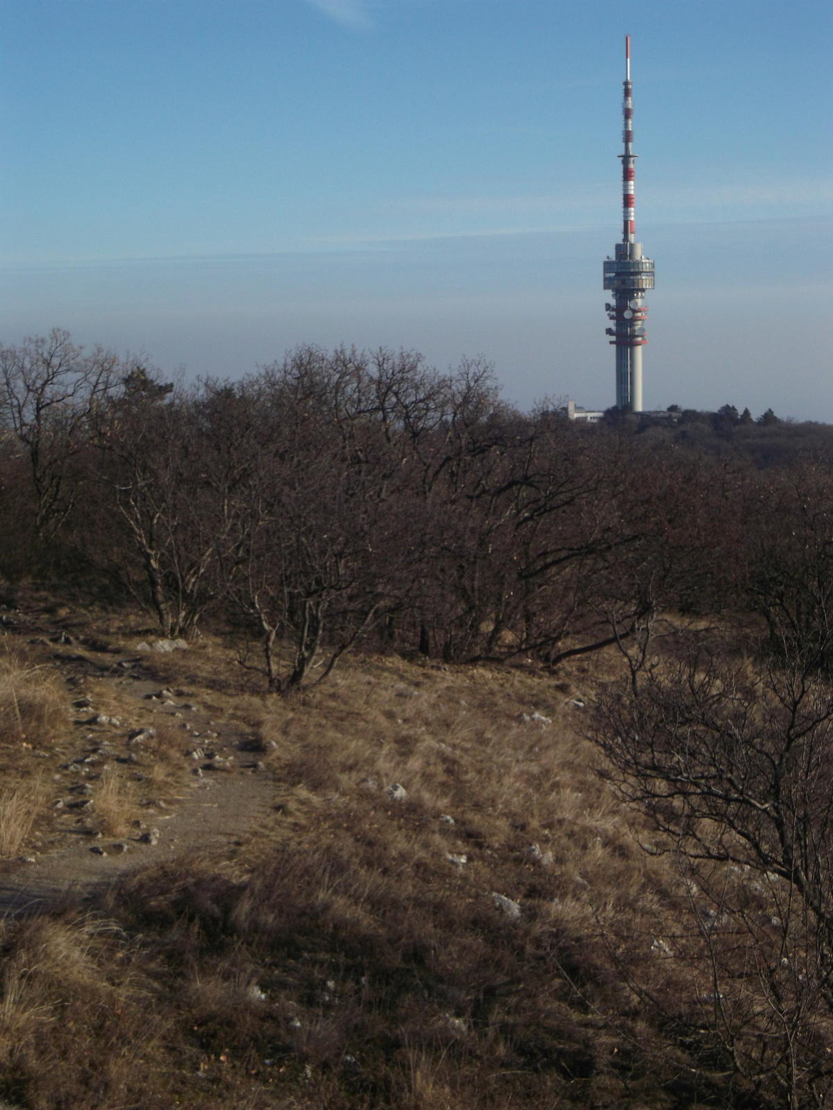 Pécs- TV torony