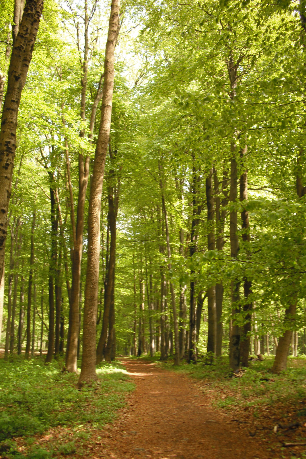 Börzsönyi turistaút