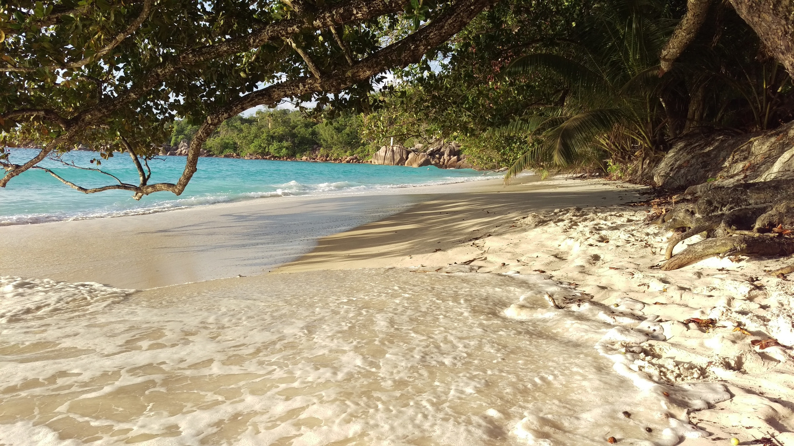 anse lazio