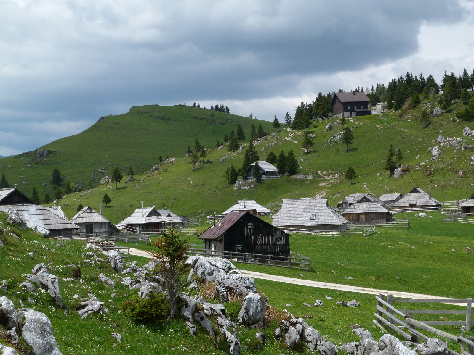 Velika Planina