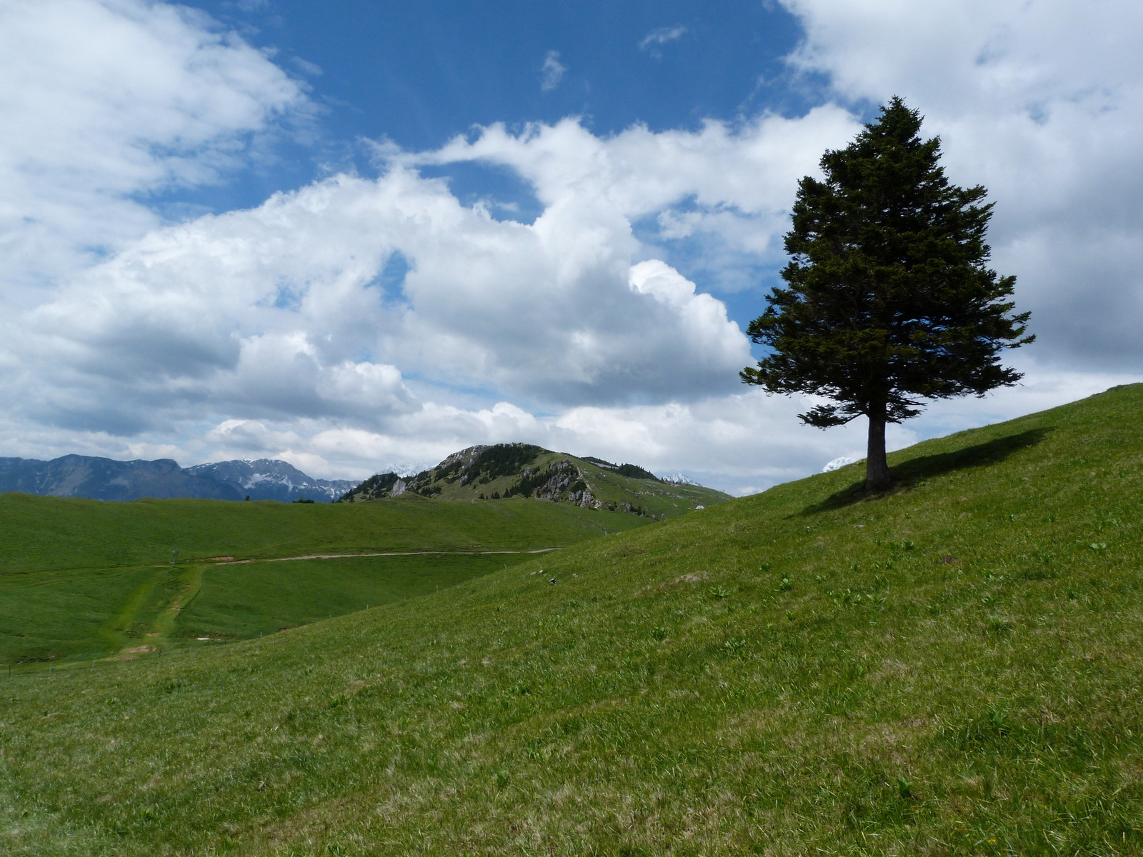 Velika Planina