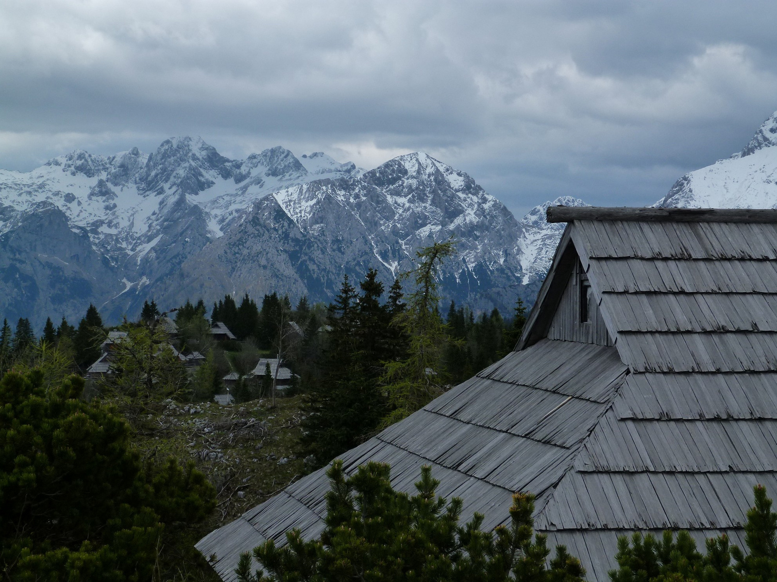 Velika Planina