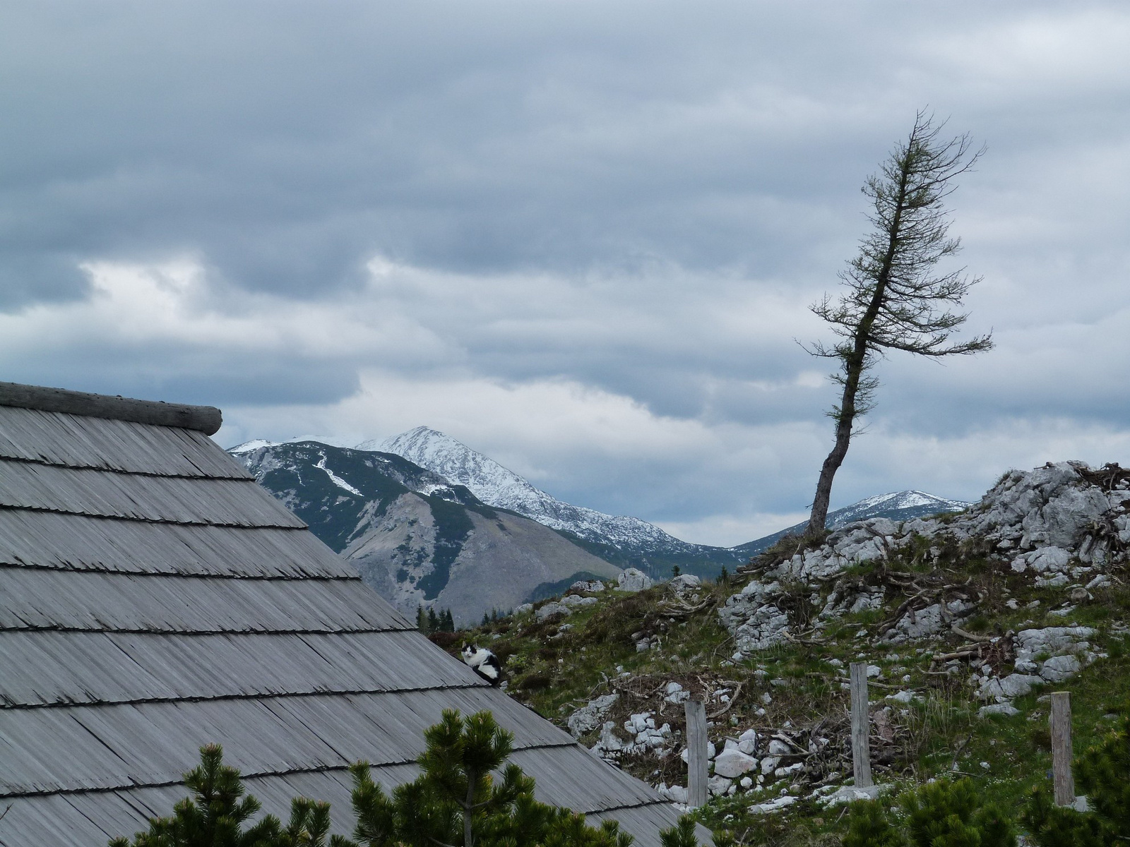 Velika Planina