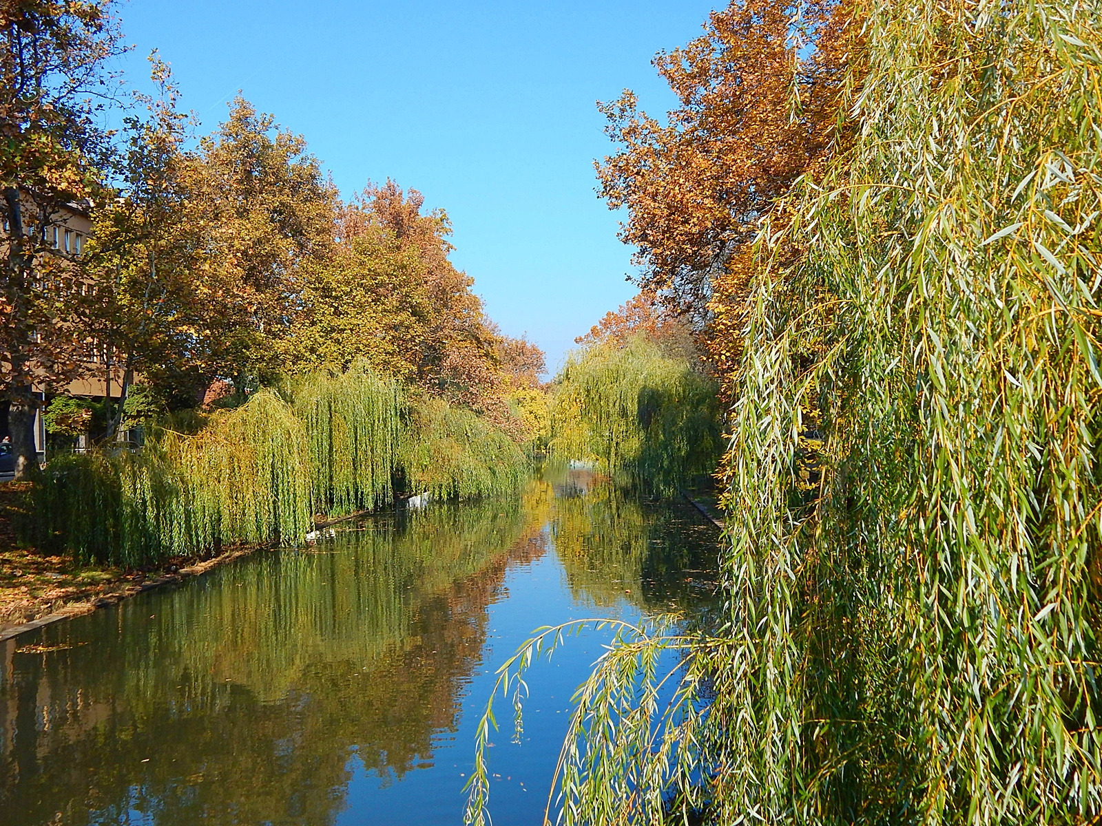 Békéscsaba, Élővíz-csatorna