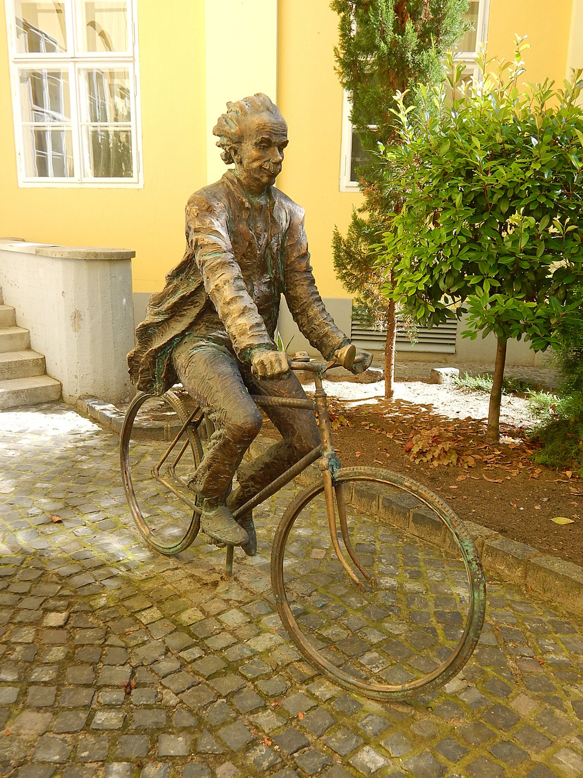 Szeged, Bicikliző Einstein