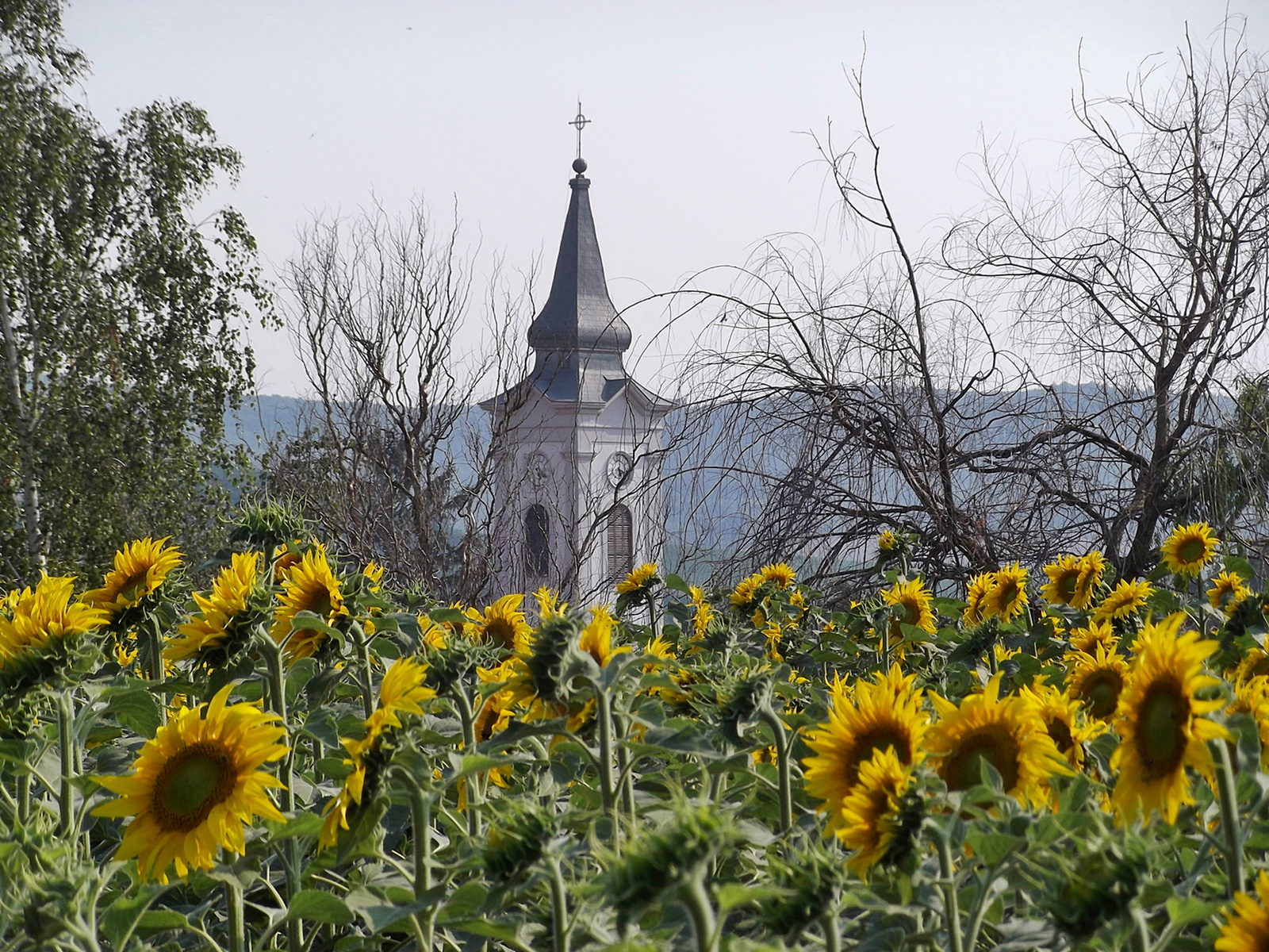 Alsómocsolád, templomtorony napraforgóval