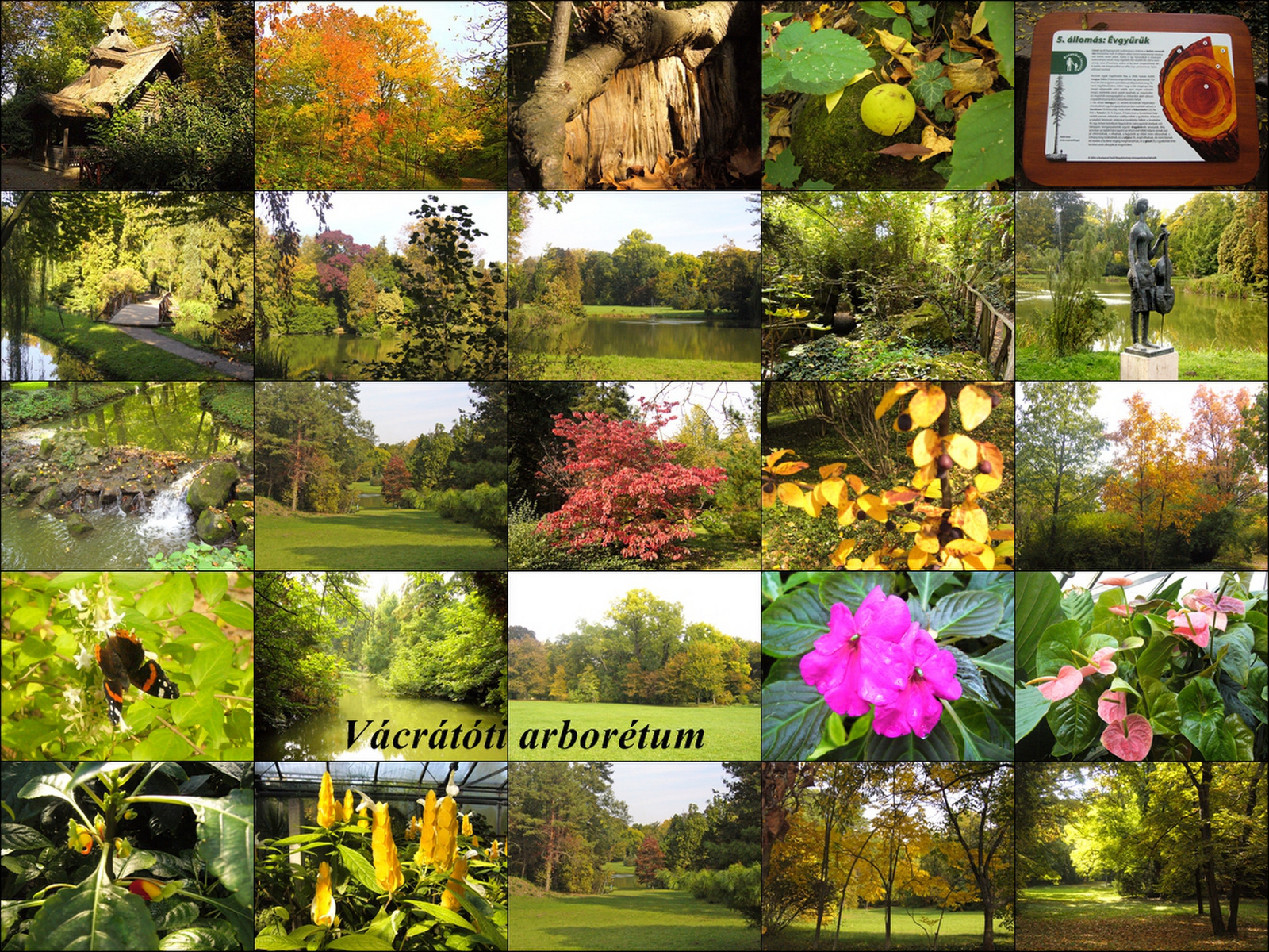 Vácrátóti arborétum (2007)