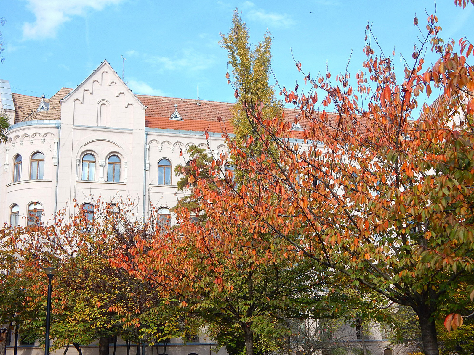 Szeged, Az ősz színei