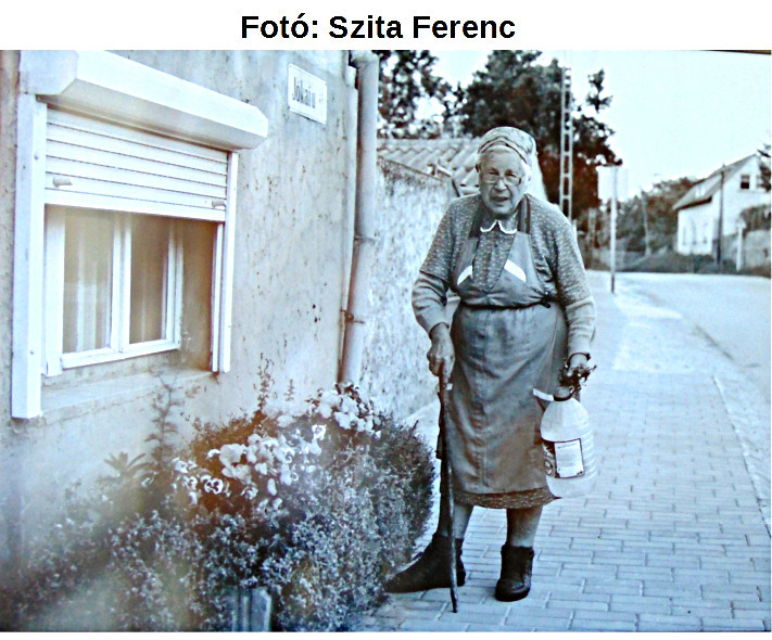 1 szita ferenc foto8