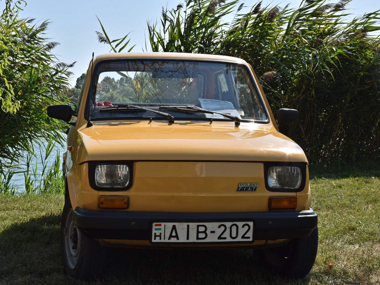 Polgár VJT Fiat P 5. kép
