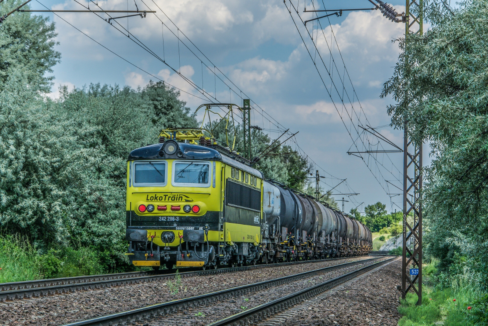 CRS 242 286 LokoTrain - 005 Szár