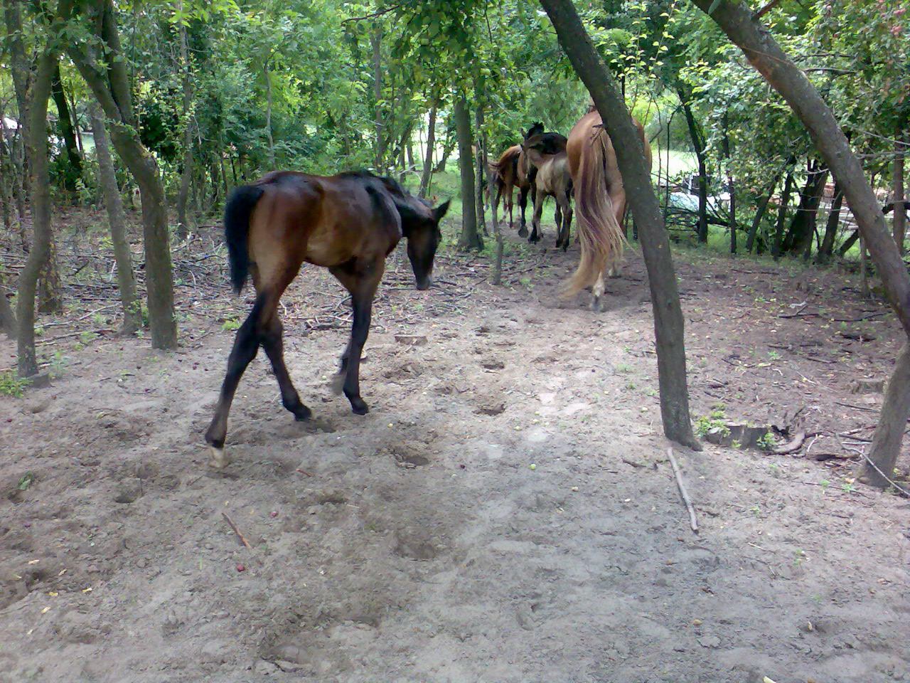 201007 Tábor013