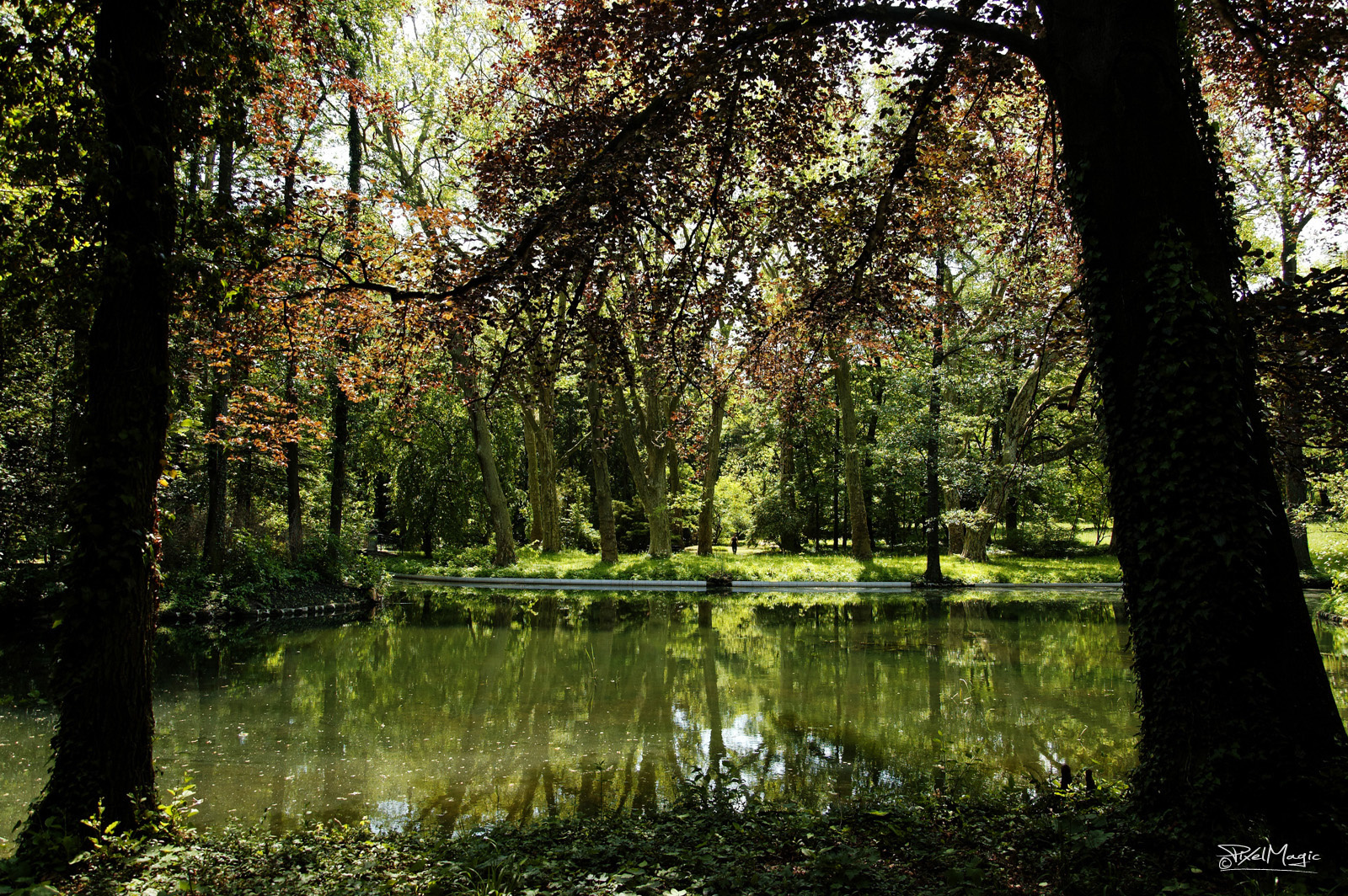 Alcsúti arborétum