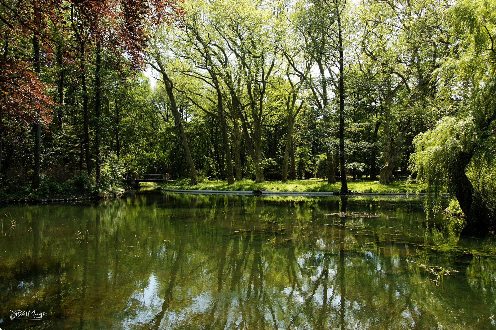 Alcsúti arborétum