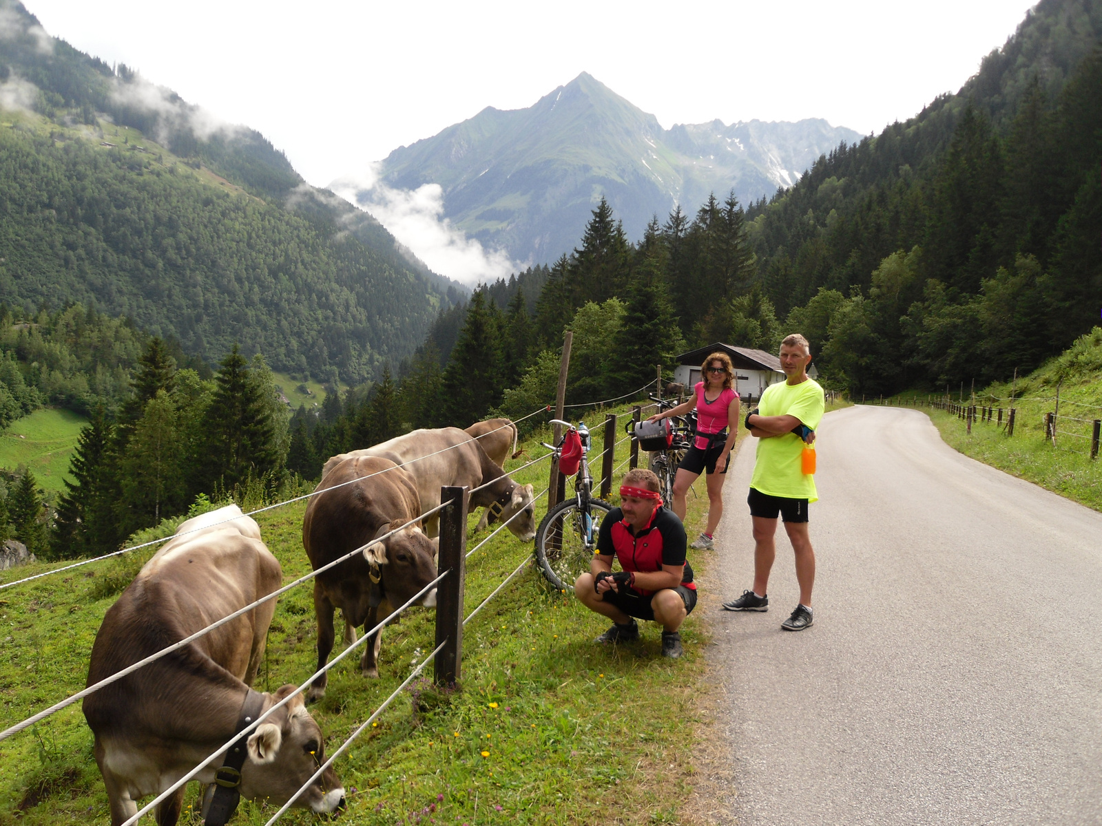 Zillertal (162)