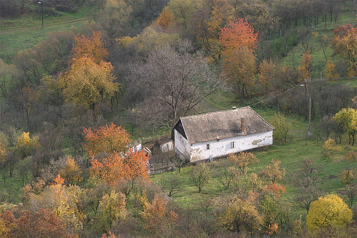 ősz