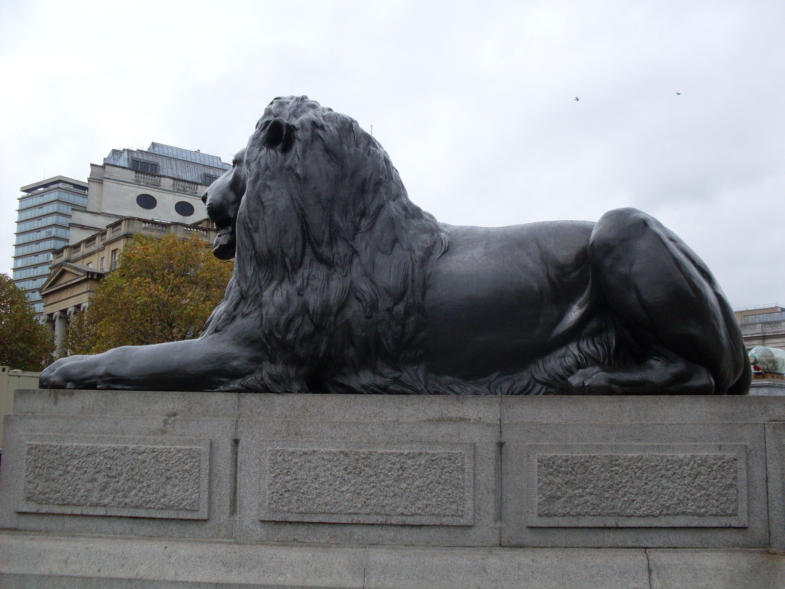 Trafalgar's Lion