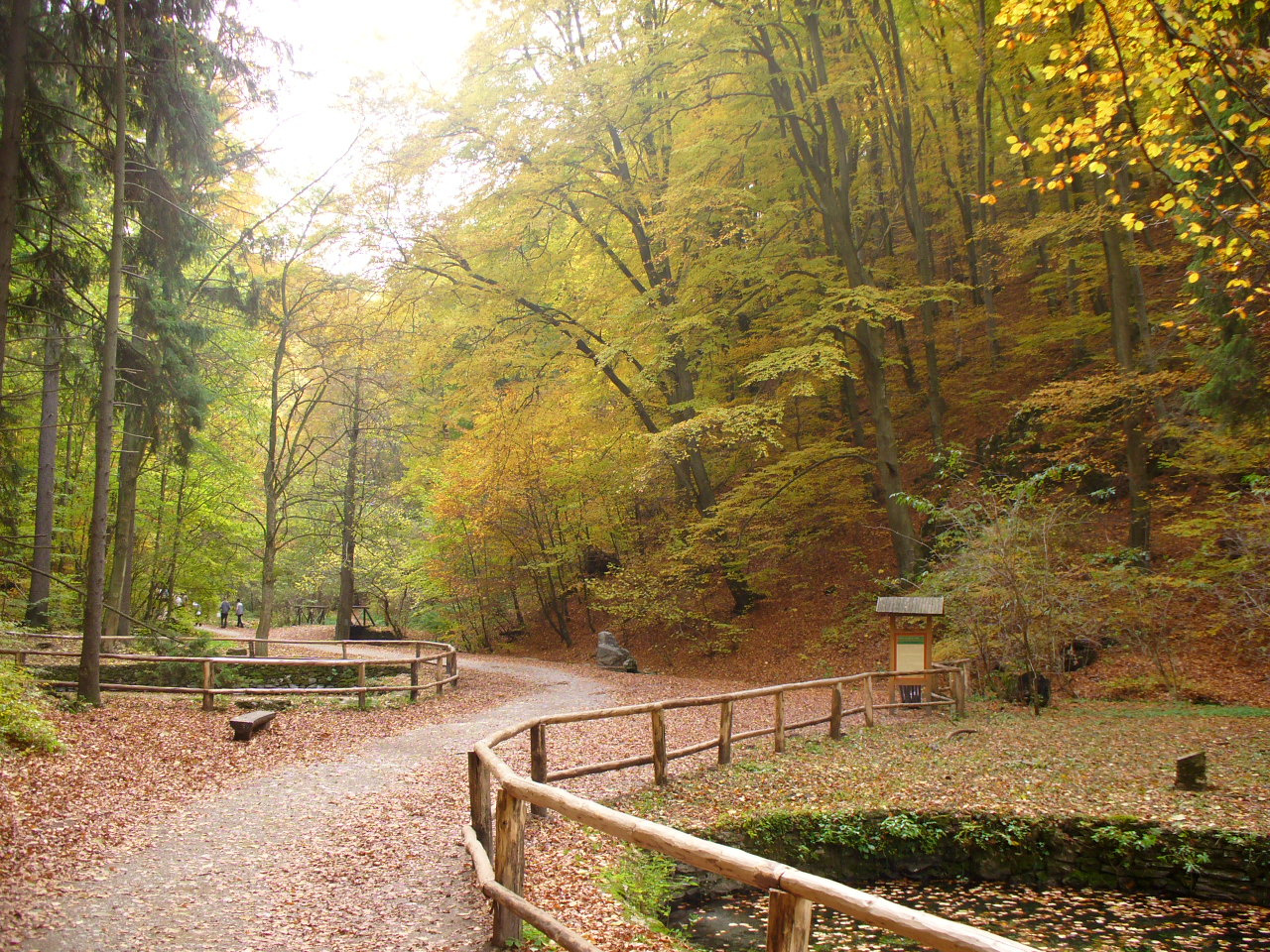 Szilvásvárad 2007 október 21. A nagy csapat ! 079