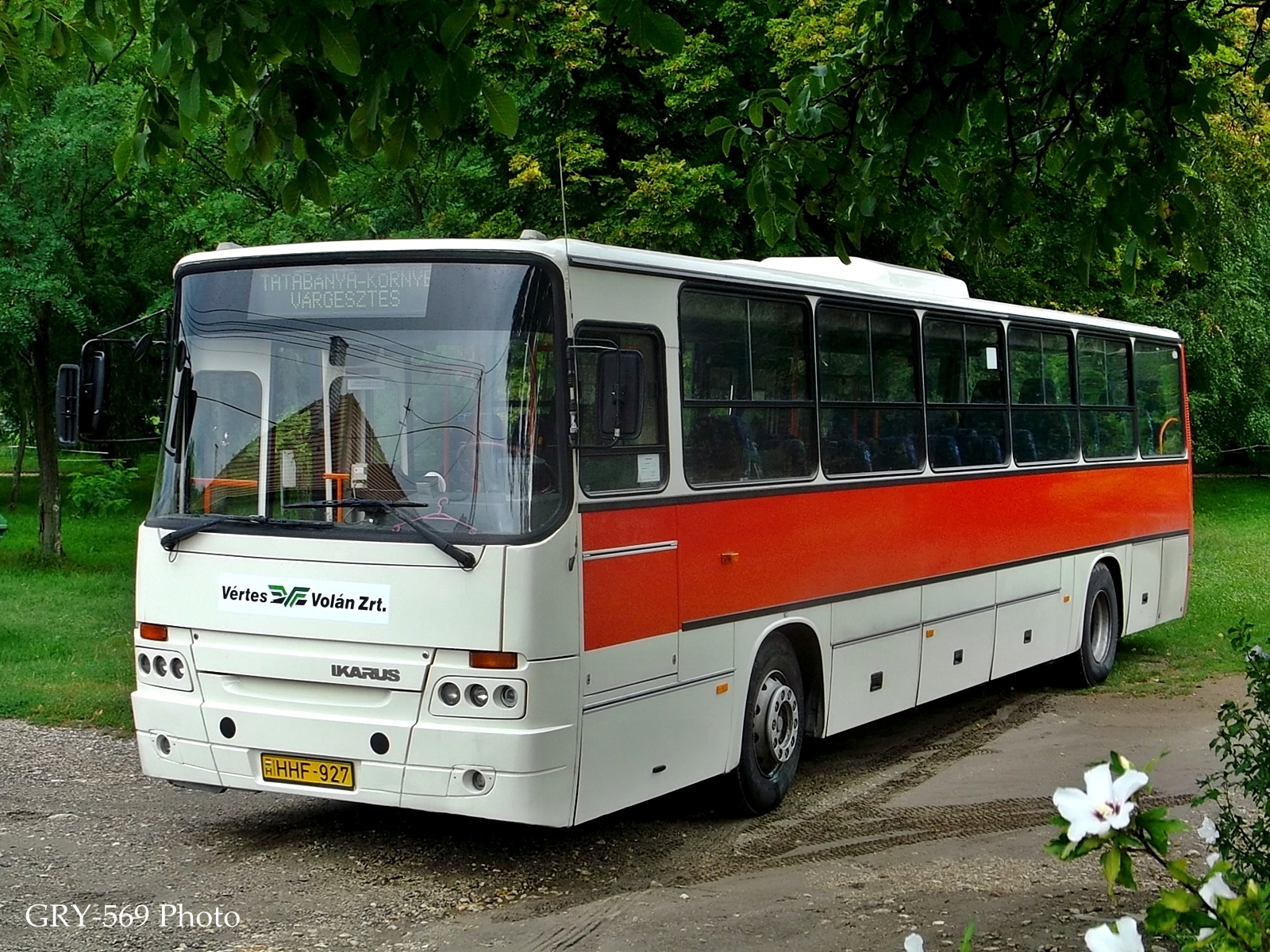 HHF-927 | Ikarus C56.42V3