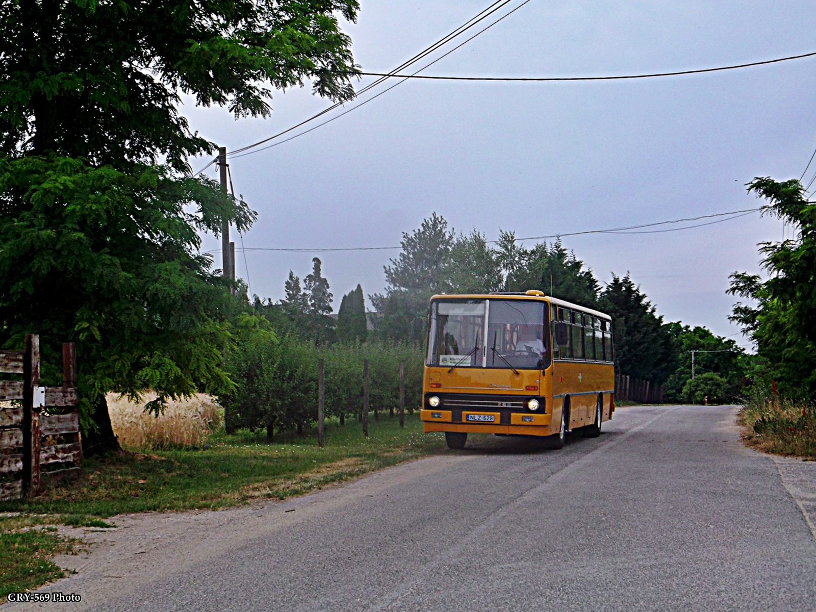 Grébicspuszta betérés - NLZ-628 | Ikarus 266.25