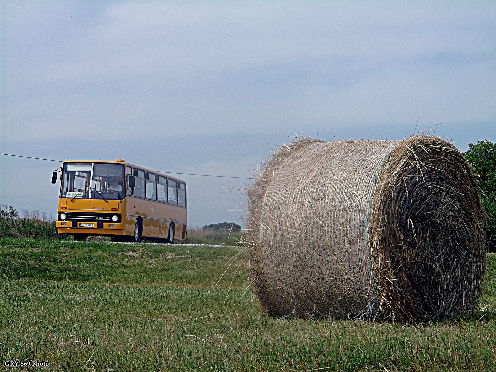 Mező szélén - NLZ-628 | Ikarus 266.25