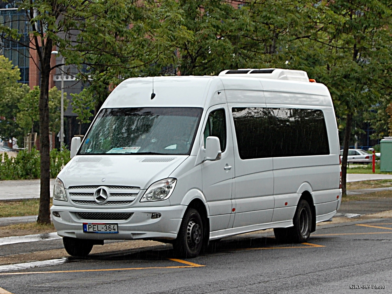 PEL-364 | Mercedes Sprinter