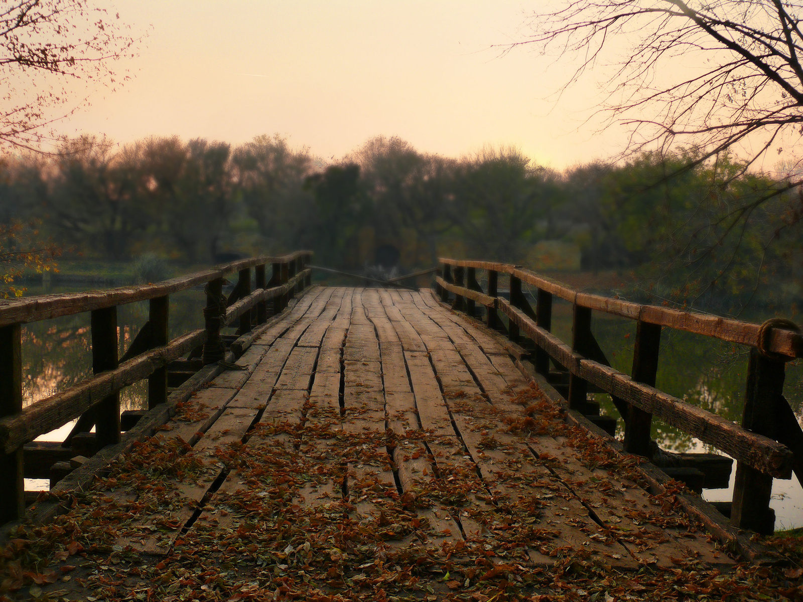 Híd az őszből
