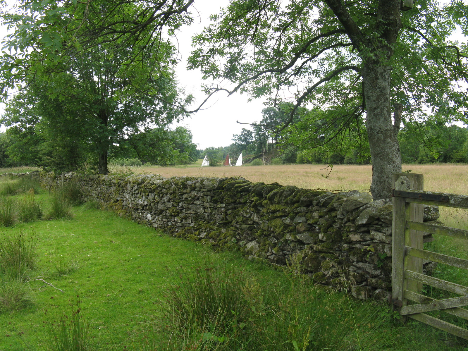 Rock fence