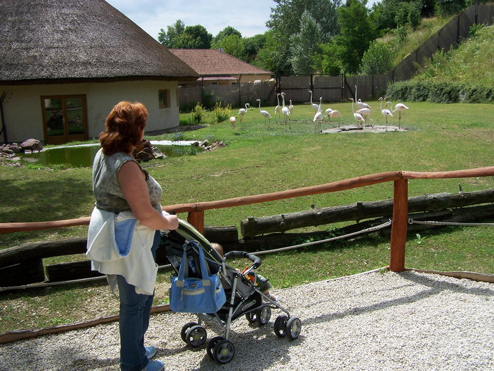 VESZPRÉM MÁSODIK NAP 025 resize