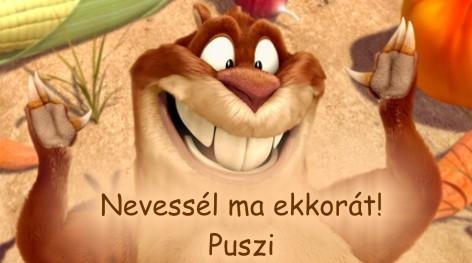 PUSZI