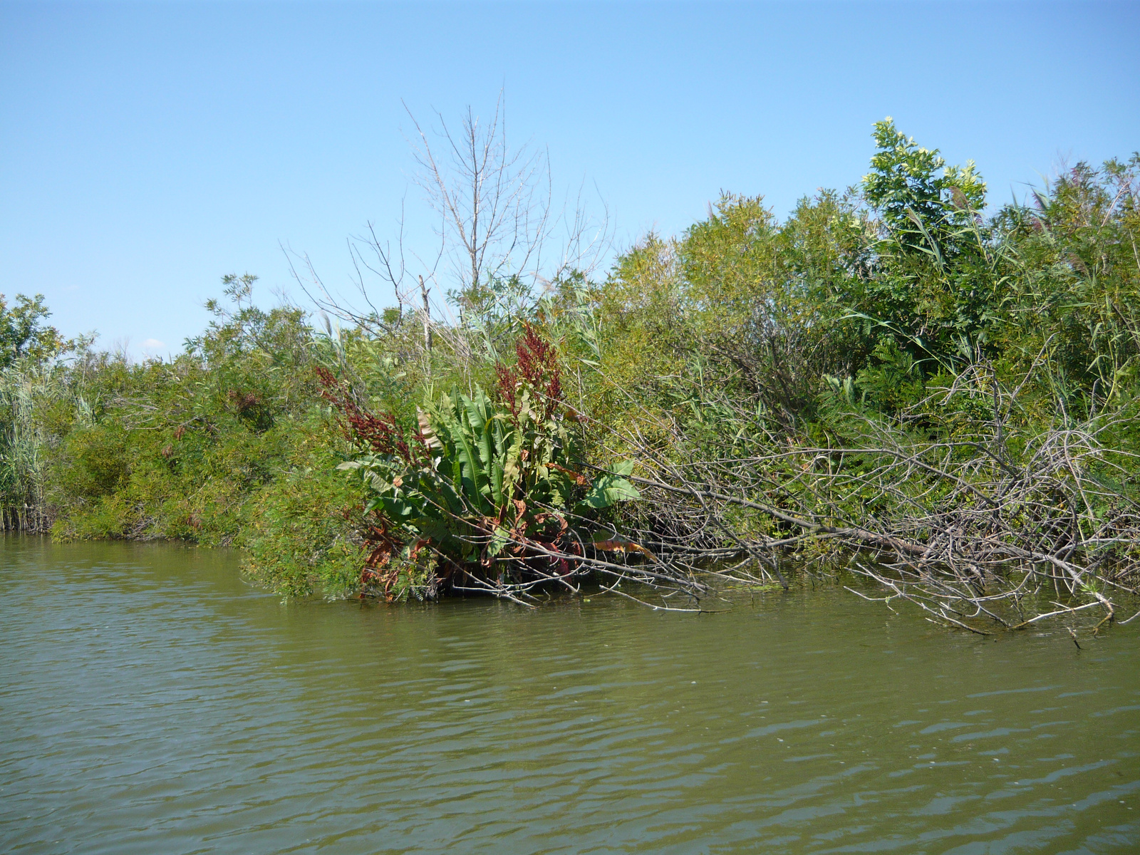 Tisza-tó