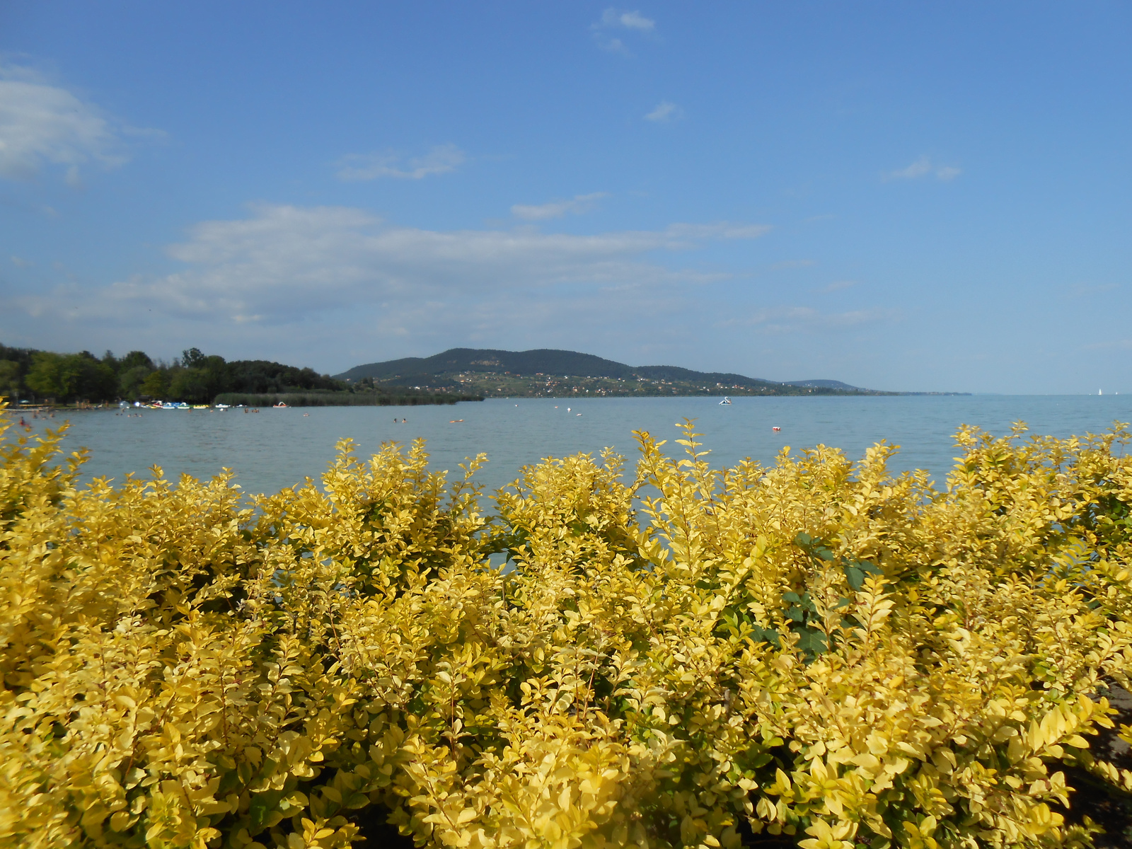 Balaton