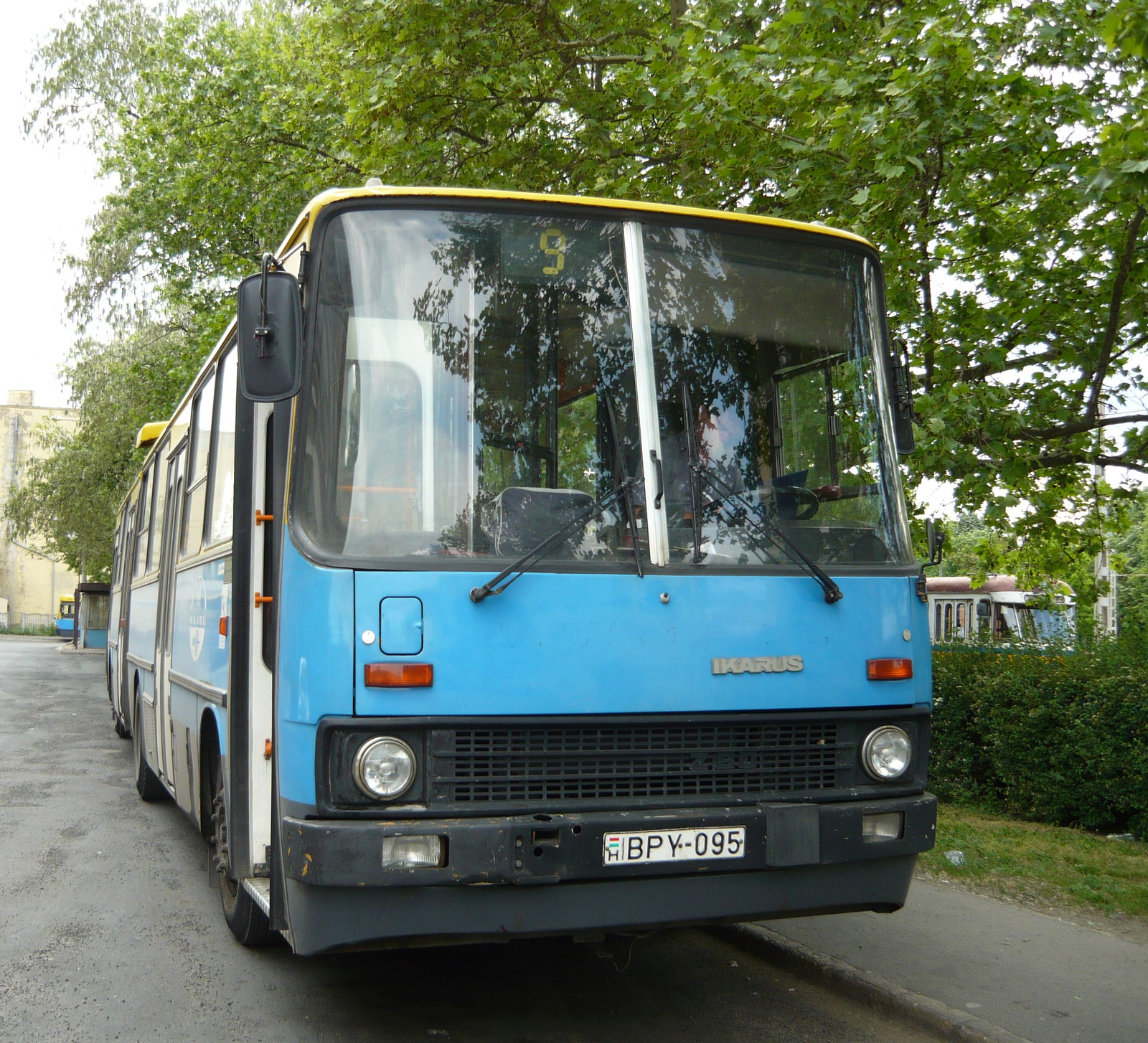 buszok