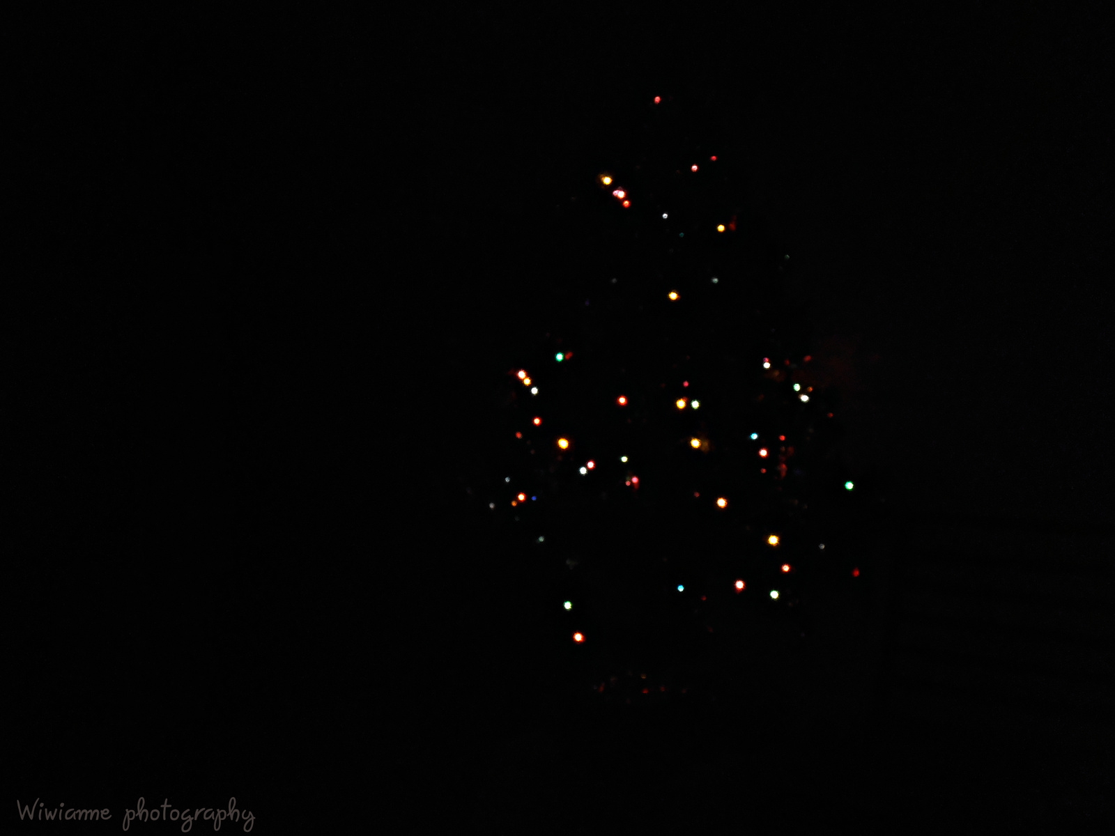 karácsonyfa 2011