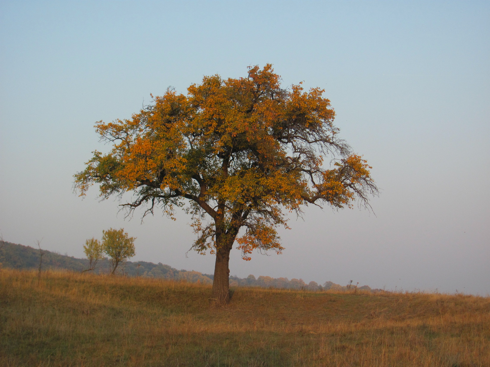 2011.10.31.Zengő,Réka-völgy,Pécsvárad 079