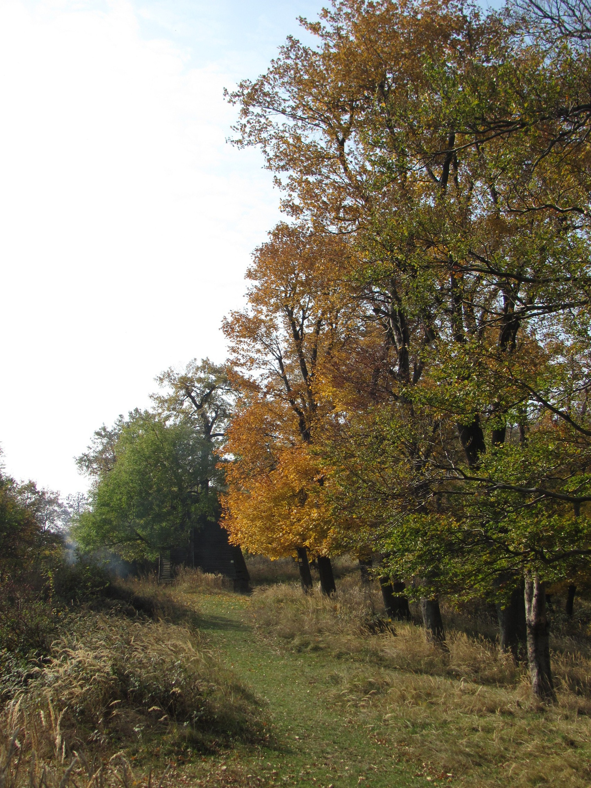 2011.10.31.Zengő,Réka-völgy,Pécsvárad 005