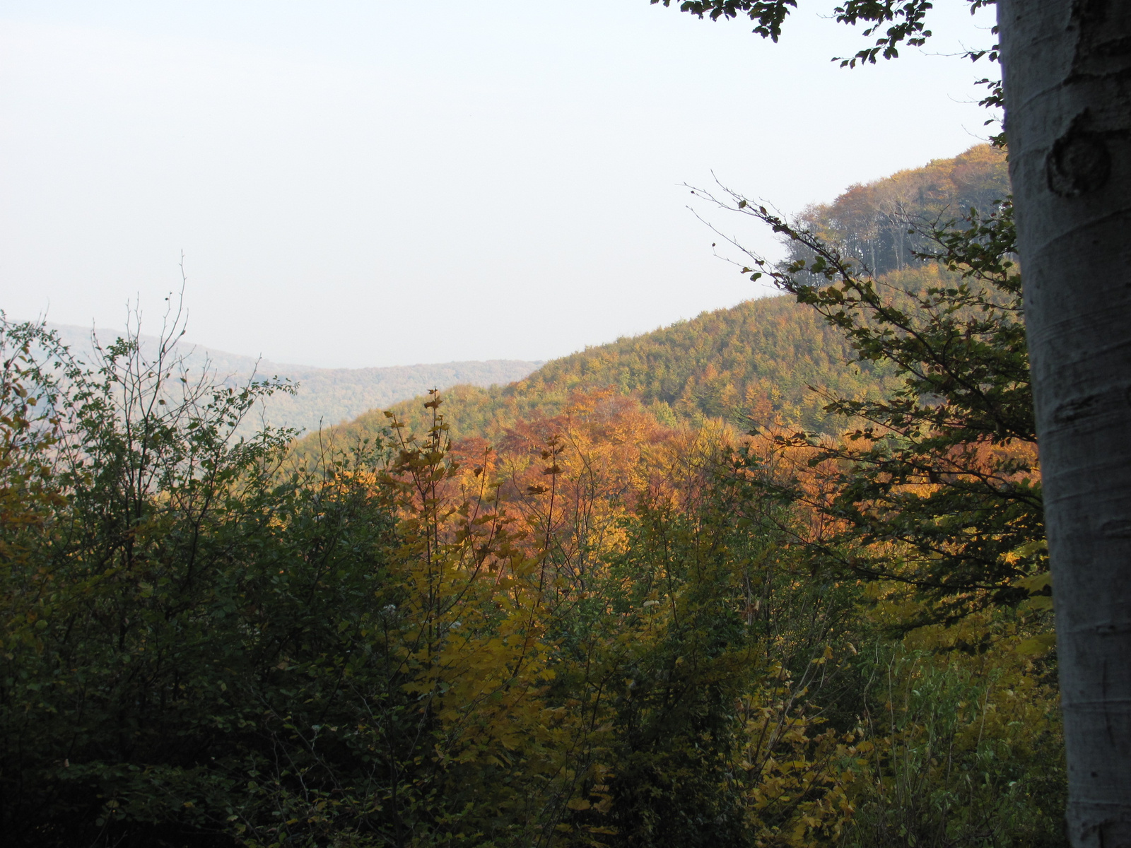 2011.10.31.Zengő,Réka-völgy,Pécsvárad 020