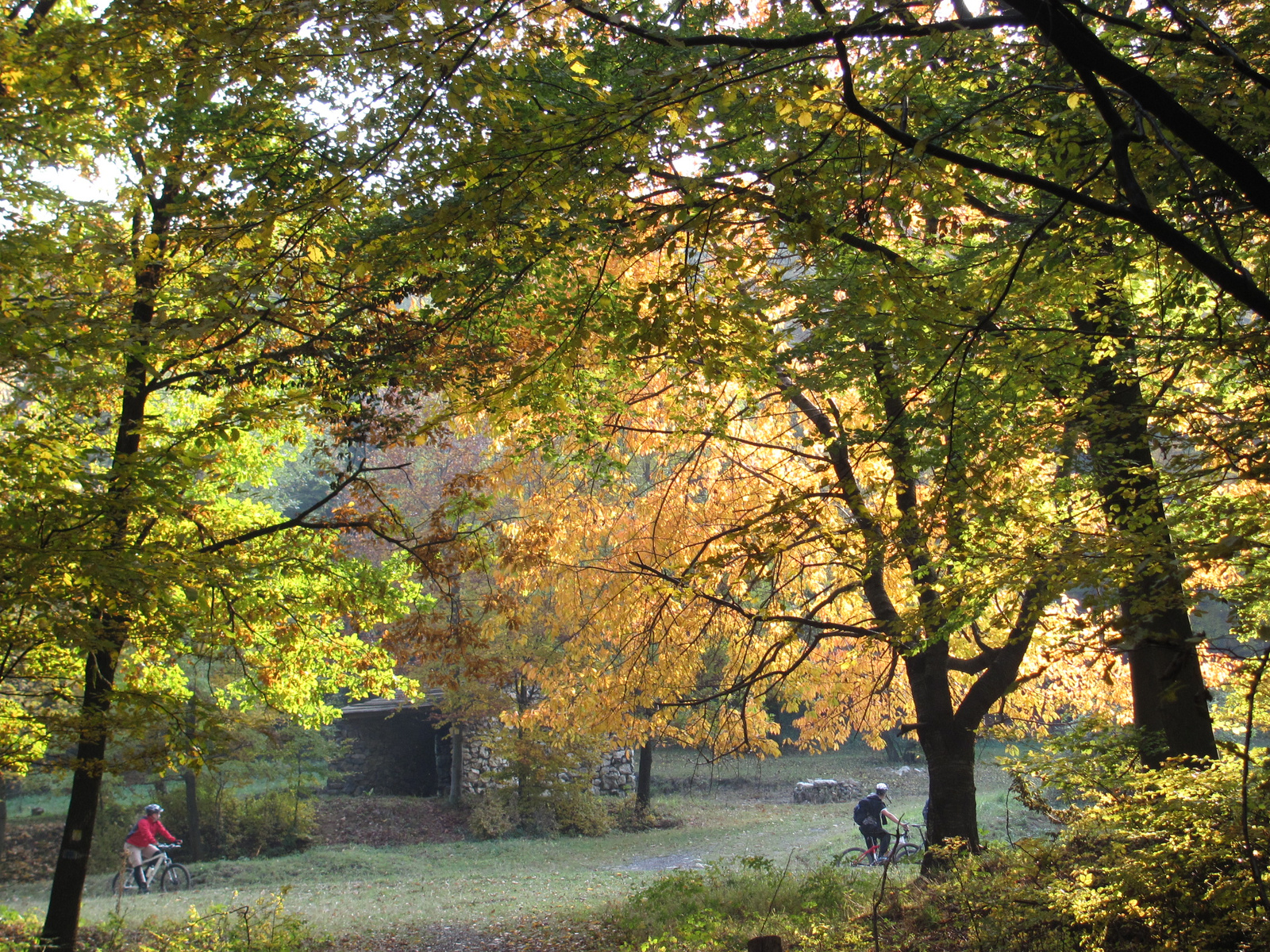 2011.10.31.Zengő,Réka-völgy,Pécsvárad 029