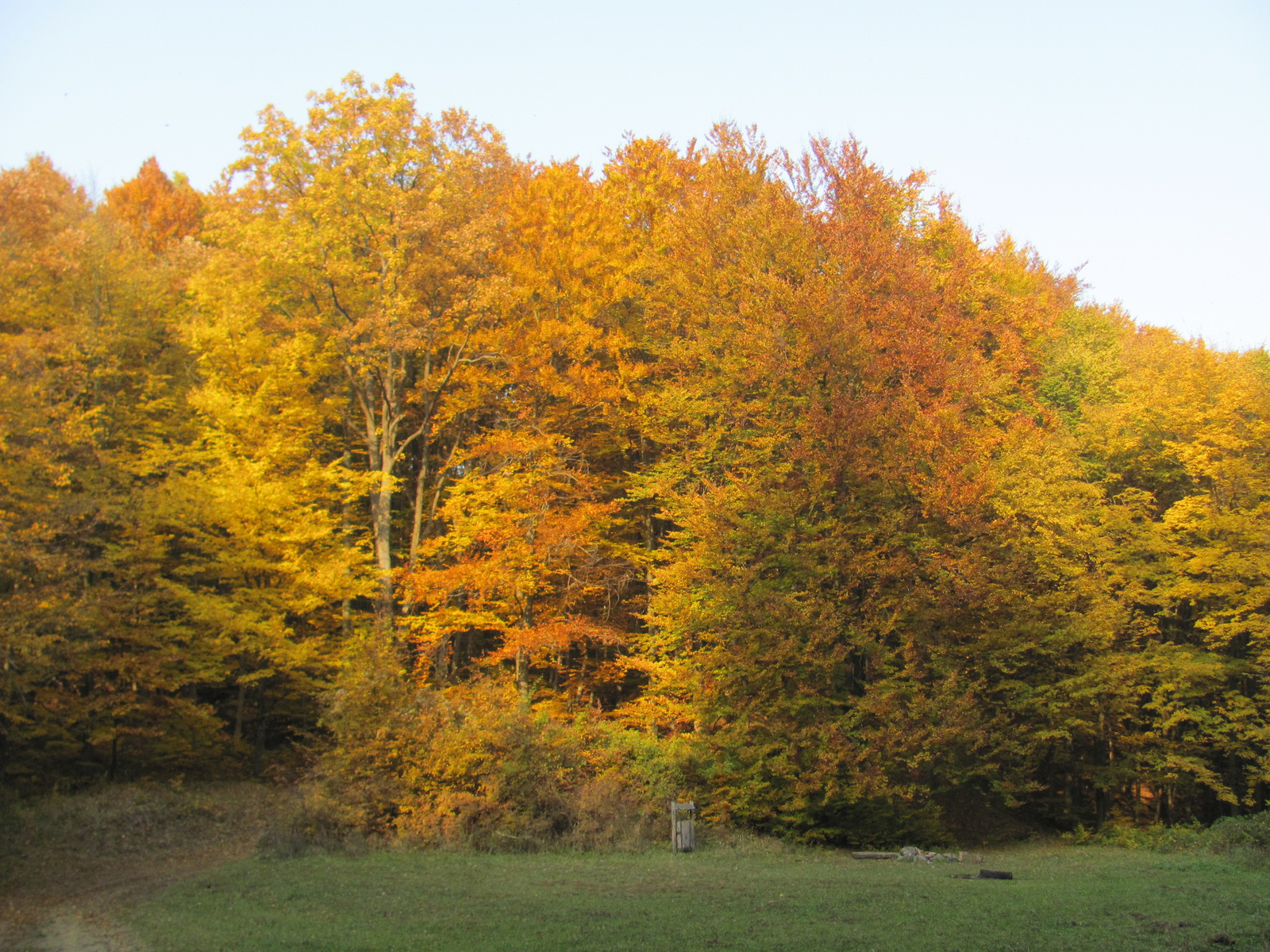 2011.10.31.Zengő,Réka-völgy,Pécsvárad 049