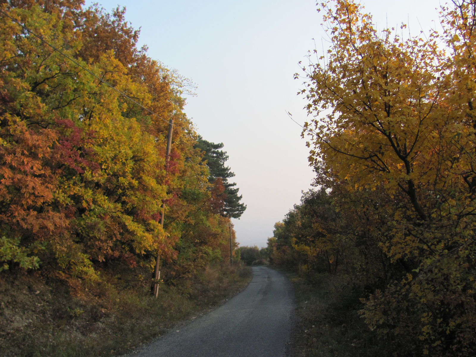 2011.10.31.Zengő,Réka-völgy,Pécsvárad 073