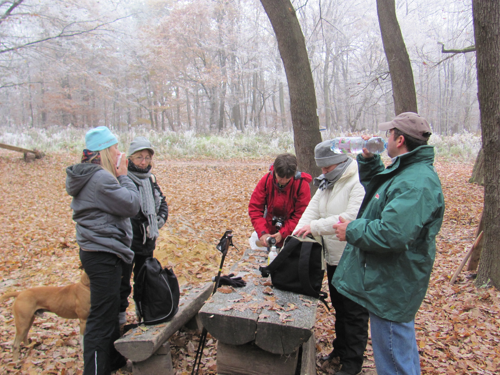 2011.11.19.Jakab-hegy 026