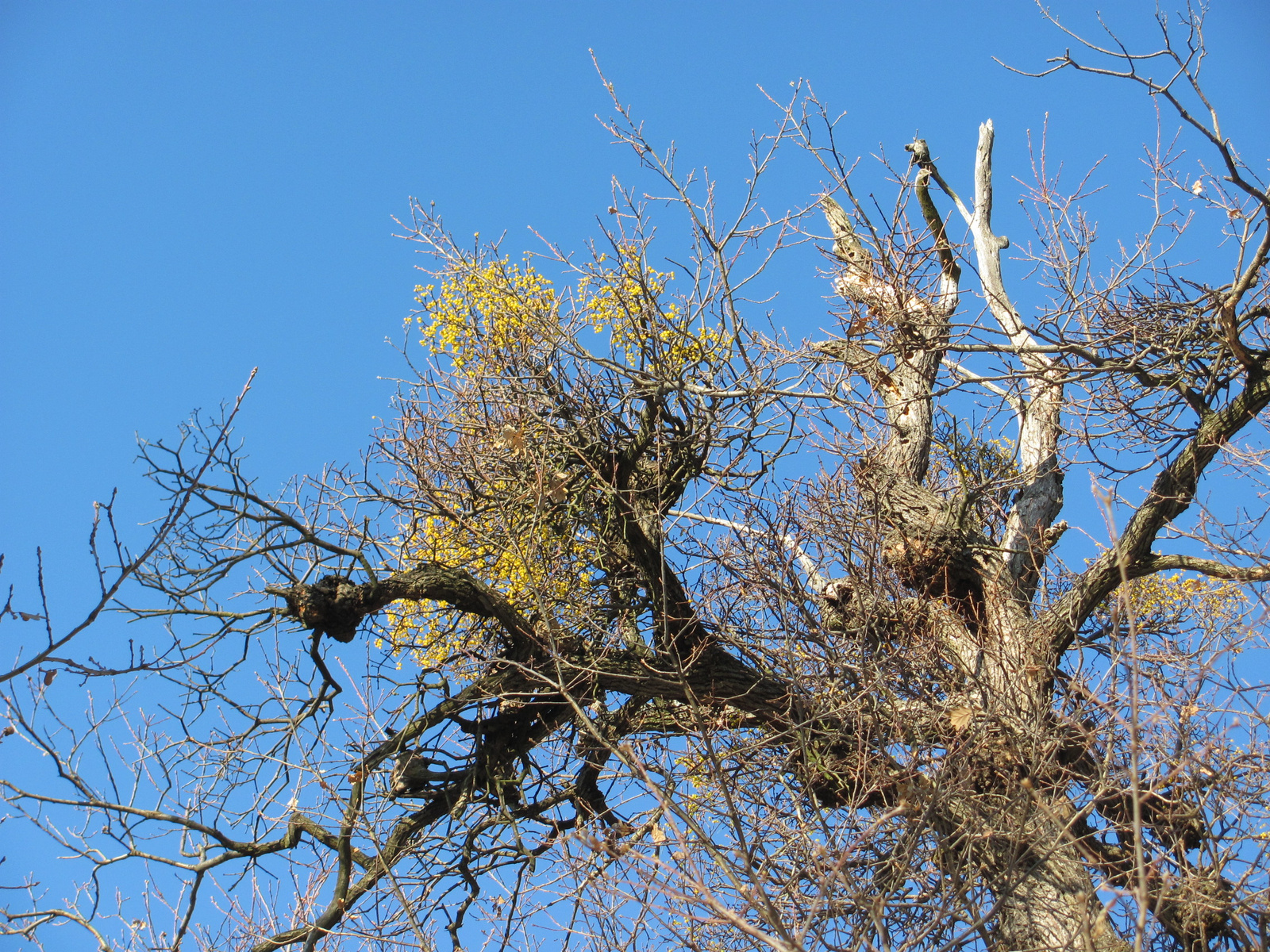 2011.12.31.Jakb-hegy,Panoráma út 025