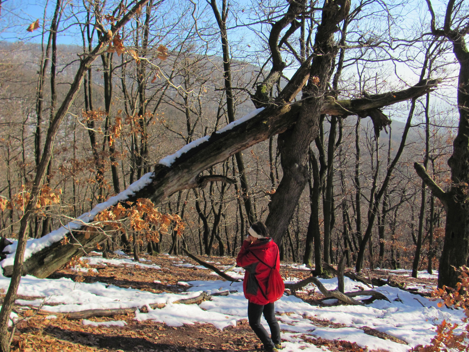 2011.12.31.Jakb-hegy,Panoráma út 037