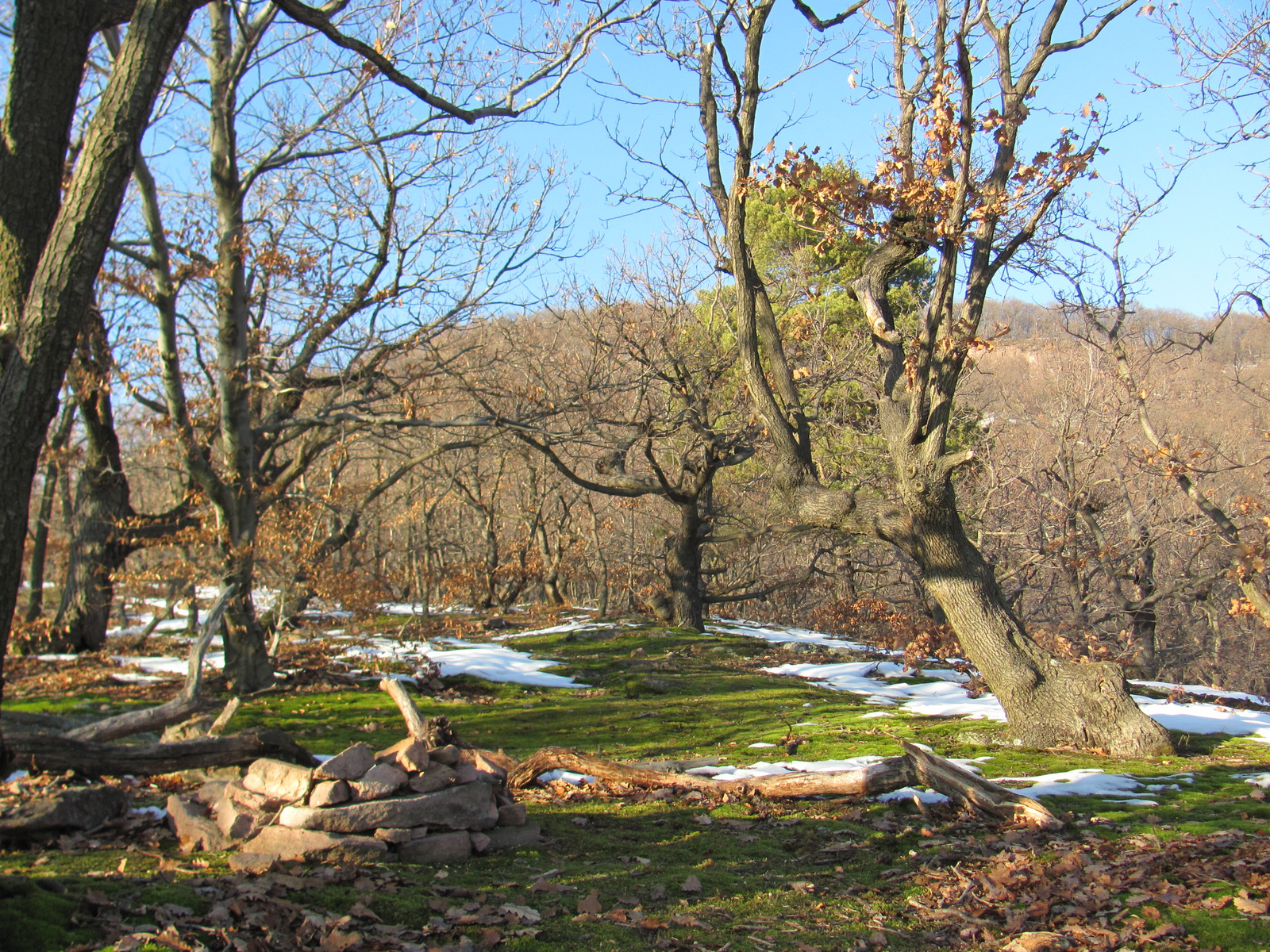 2011.12.31.Jakb-hegy,Panoráma út 053