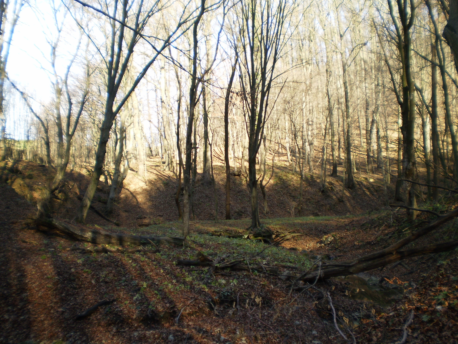 20101113 Orfűi Nagy kő oldal