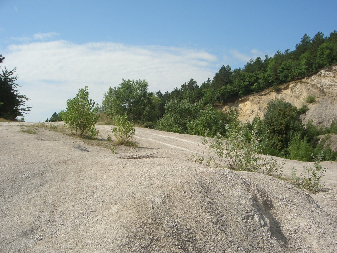 Gyenesdiás - Kőfejtő 2010.08.04-11. 052