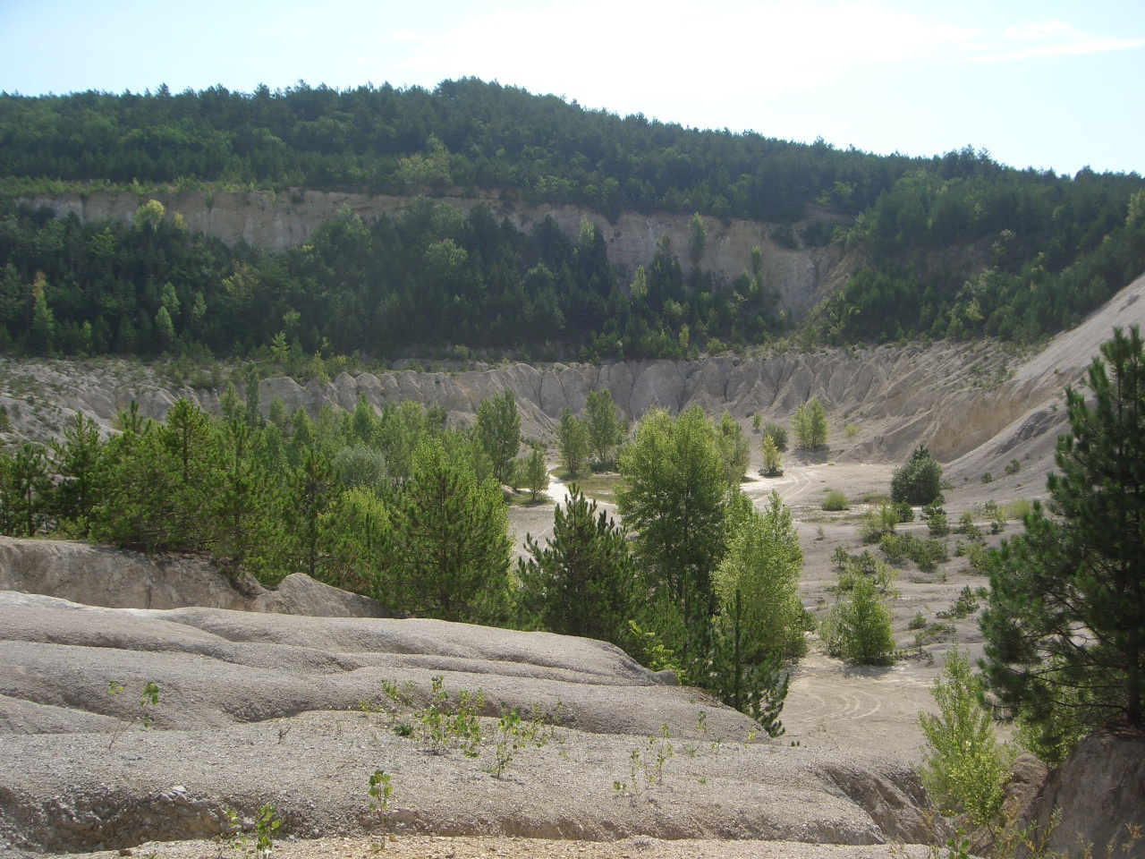 Gyenesdiás - Kőfejtő 2010.08.04-11. 057