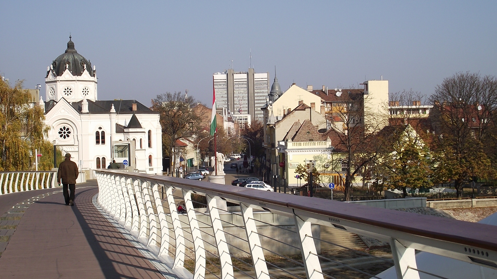 Szolnok - Tiszavirág gyaloghíd 2011 007