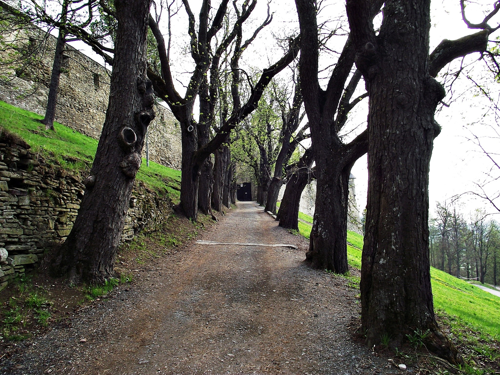 Lubló 2011.04.22-25 603